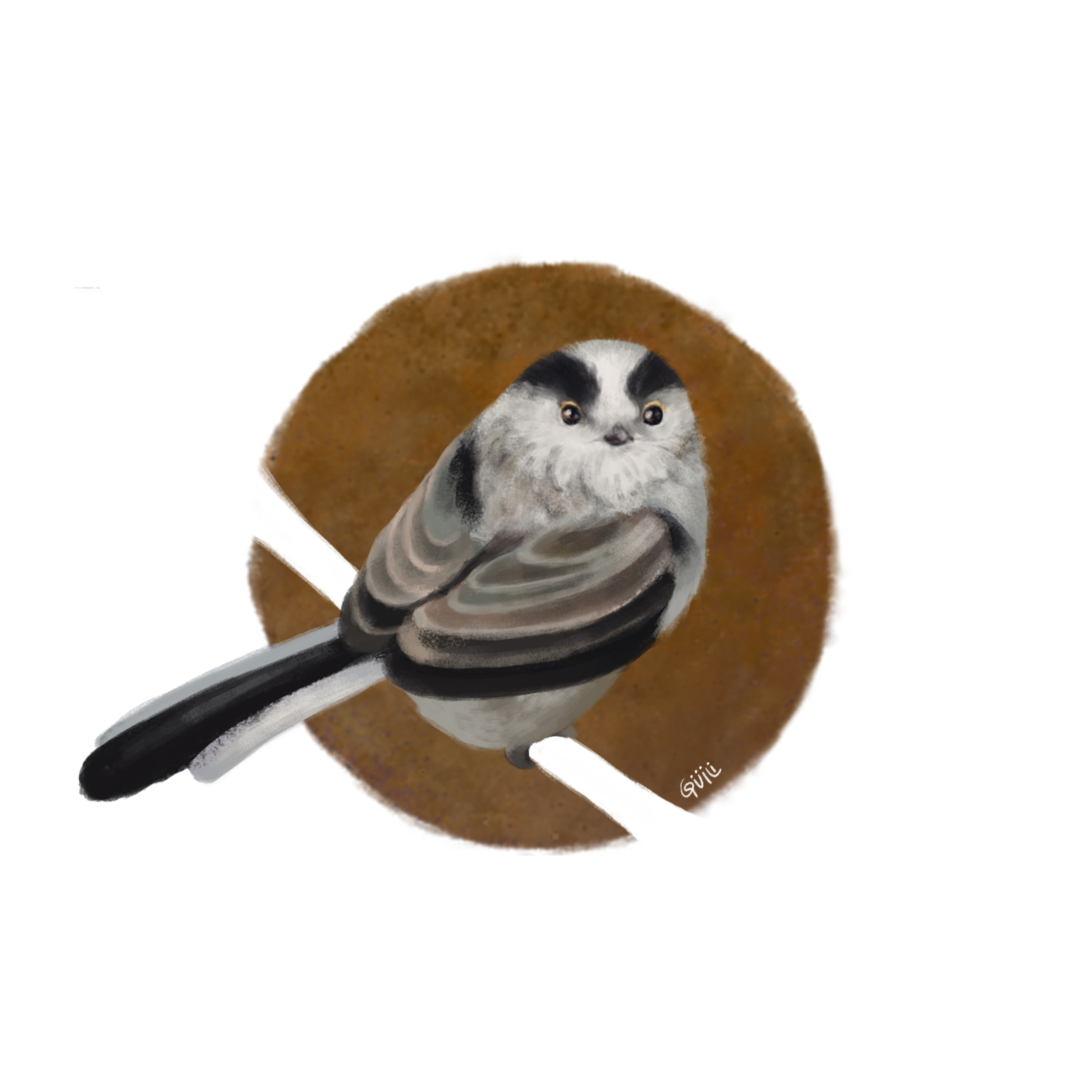 DDE_IL-LongTailed